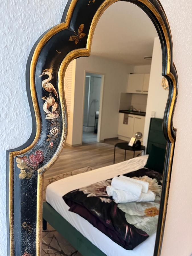 Am Klinikum, Naehe Europa Park Und Strasbourg, Zentrumsnah Offenburg Buitenkant foto